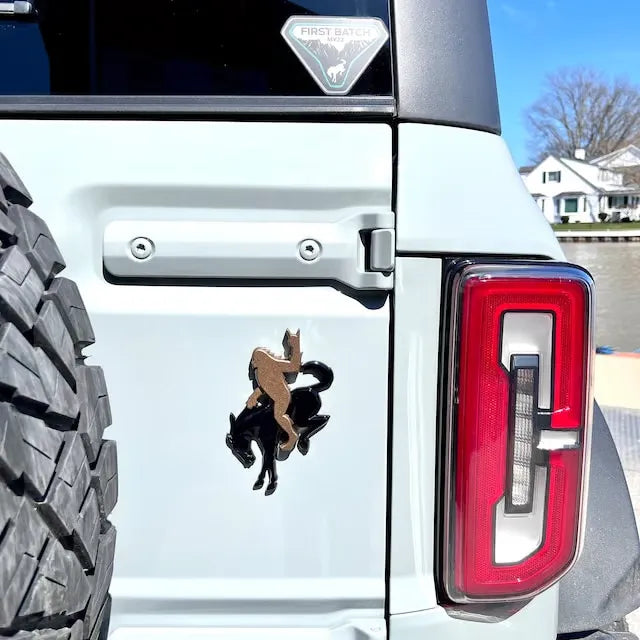 🔥Add-A-Squatch to Your Bronco